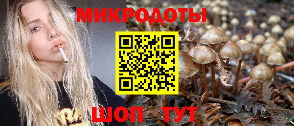 Псилоцибиновые грибы мицелий  Вход с VPN  Нерюнгри 